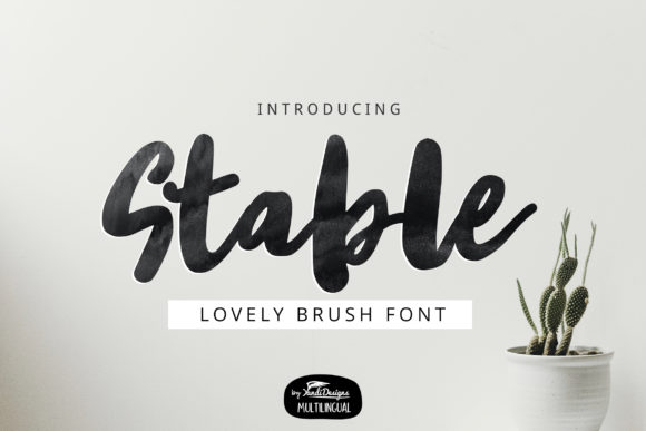 Stable: A Bold, Modern Display Font